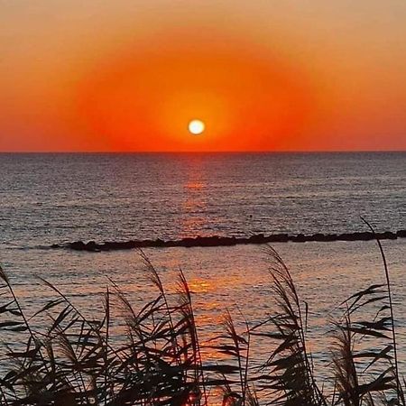 Paphos Elena'S Guest House A מראה חיצוני תמונה