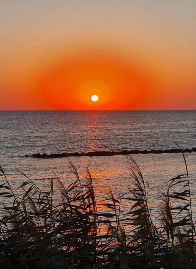 Paphos Elena'S Guest House A מראה חיצוני תמונה